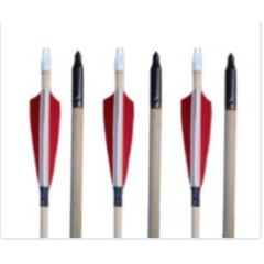 Ahşap Ok Geleneksel 4 inch Plastik Gezli