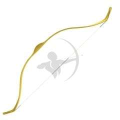 Geleneksel Eğitim Yayı / Kılıf hediyeli